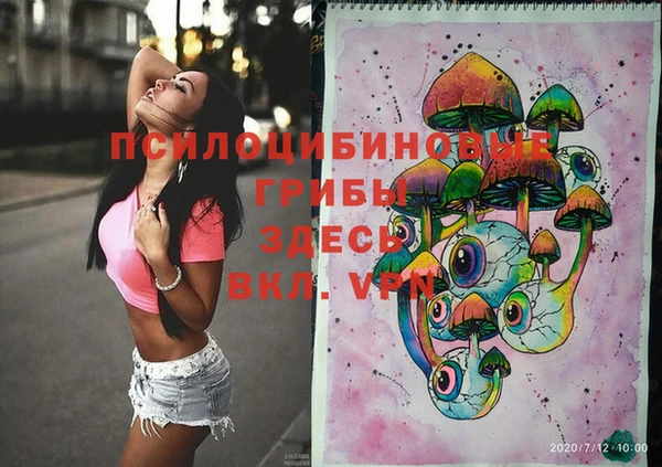 стафф Армянск