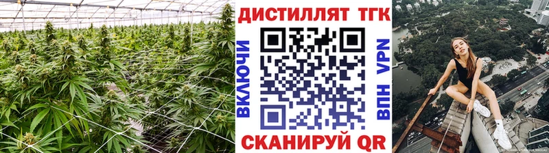 Дистиллят ТГК гашишное масло  Купить где  Томилино 